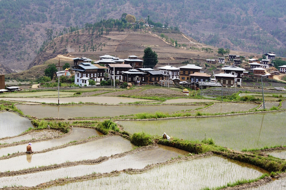 The Happiness Kingdom-Chimi Lakhang